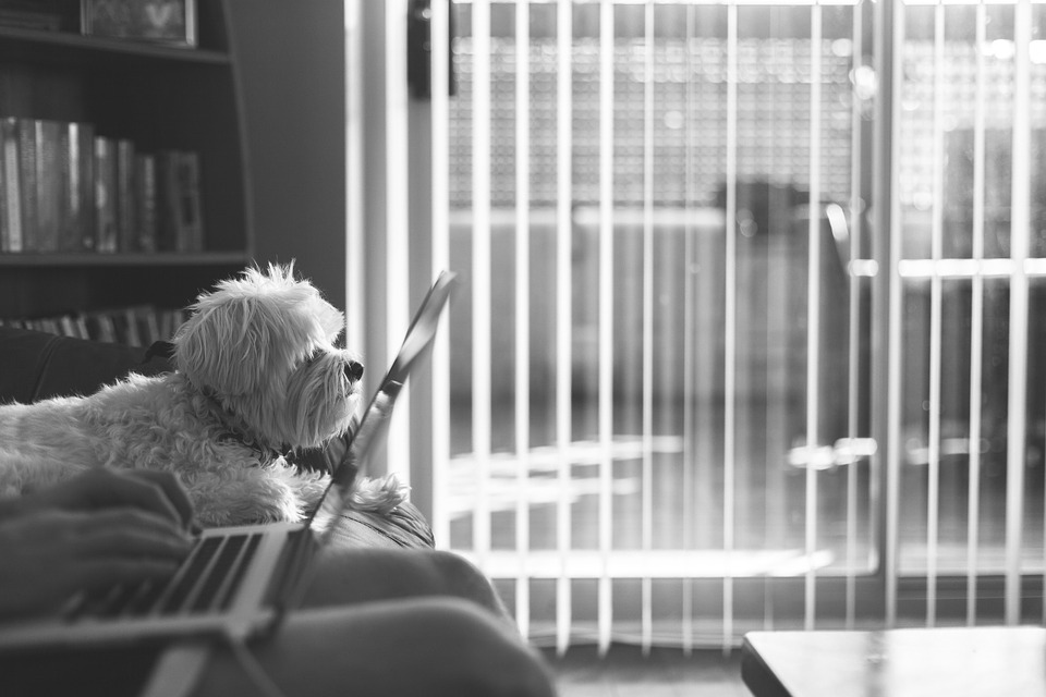 How to Create a Blog Post in HubSpot